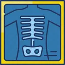 Xray Medical Radiology Icon