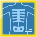 Xray Medical Radiology Icon