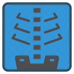 Xray  Icon