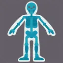 Xray Body Skeleton Icon