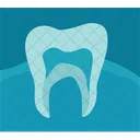 Xray Tooth Dental Icon