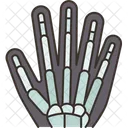 Xray Hand Finger Icon