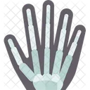 Xray Hand Finger Icon