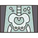 Xray Film Urology アイコン