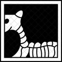 Xray Animal Bone 아이콘