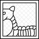 Xray Animal Bone 아이콘