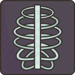 Xray Report  Icon