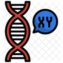 Xy Chromosome  Icon