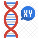 Xy Chromosome  Icon