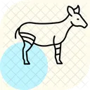 Yak Symbol
