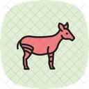 Yak Symbol