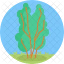 Yard Garden Botanical Icon
