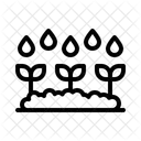 Yard Plants Outdoor Space Icon