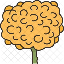 Yarrow  Icon