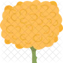 Yarrow Flower Blossom Icon