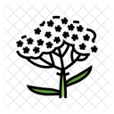Yarrow  アイコン