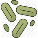 Yeasts Icon