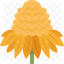 Yellow Cone Flower Icon