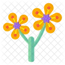 Yellow Anemone  Icon