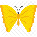 Yellow-angled Sulphur Butterfly  Icon