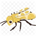 Honeybee Insect Creature Icon