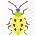 Yellow Beetle  Icon