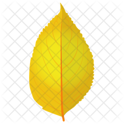 Yellow Birch Icon