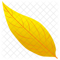 Yellow Birch Icon
