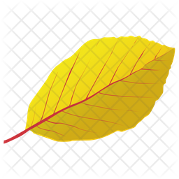 Yellow Birch Icon