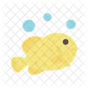 Yellow Boxfish  アイコン