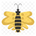 Yellow butterfly  Icon