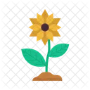 Flower Leaf Floral Icon
