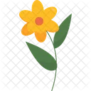 Yellow Flower Flower Blossom Icon