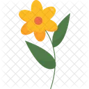 Yellow flower  Icon