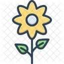 Yellow Flower Spring Icon