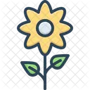 Yellow Flower Spring Symbol