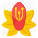 Yellow Hibiscus  Icon