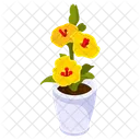 Yellow Hibiscus  Icon