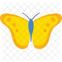 Yellow Julia Butterfly  Icon