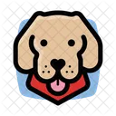 Yellow Labrador Yellow Dog Yellow Icon