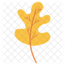Yellow Leaves Autumn Fall Icon