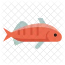 Yellow Perch Animal Fish Icon