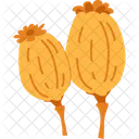 Poppy Seed Heads Icon