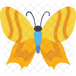 Yellow Streaks Butterly  Icon