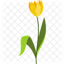 Yellow Tulip Spring Nature Icon