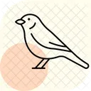 Yellowhammer Bird Yellow Icon
