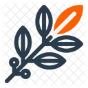 Yerba Mate Tea Drink Icon