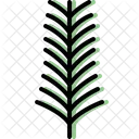 Yew leaf  Icon