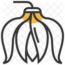 Ylang Icon