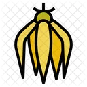 Ylang Flower Smell Icon